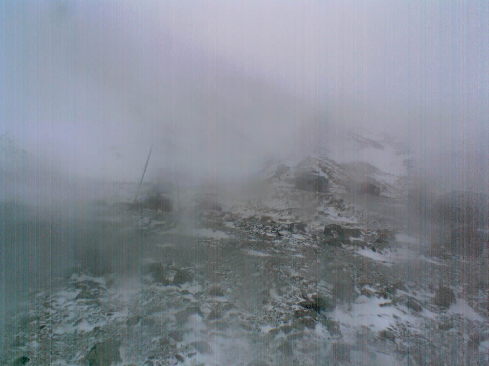 Main Tow/Field View