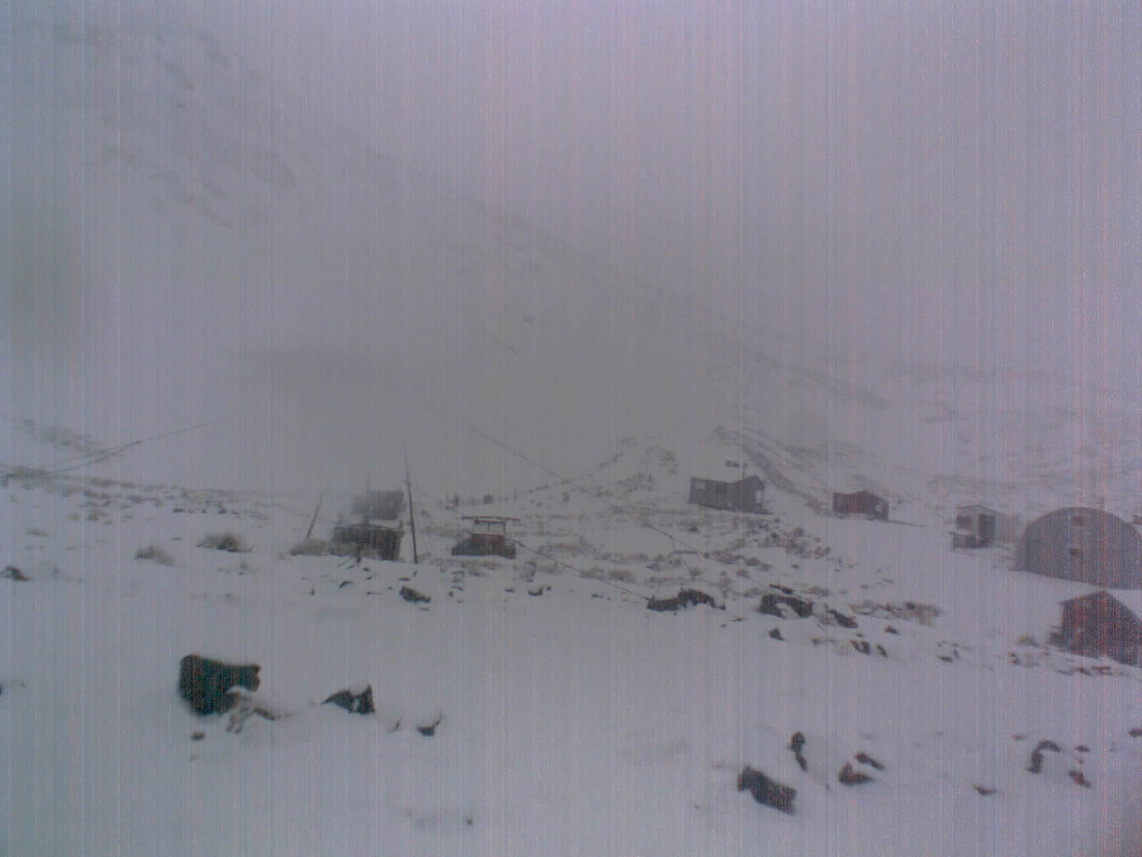 Main Tow/Field View